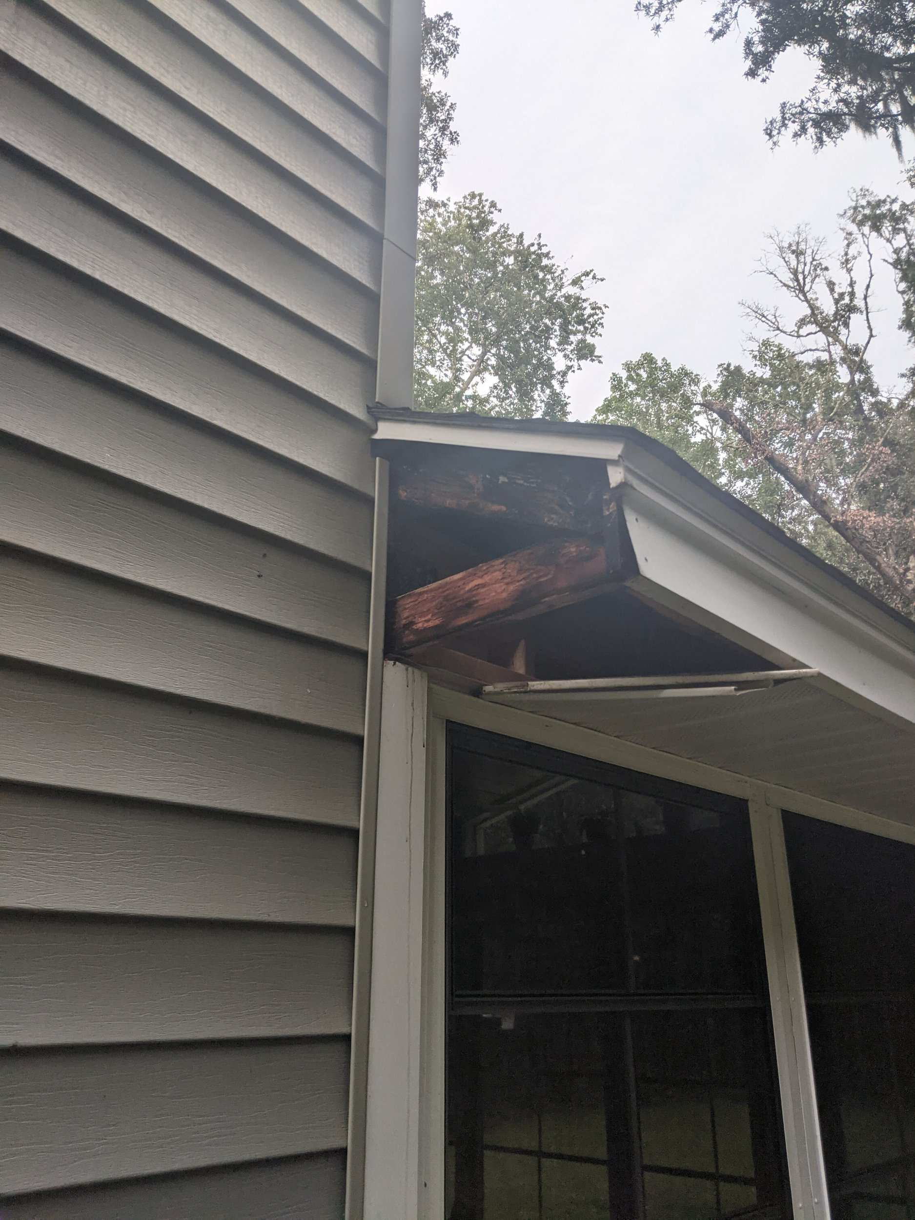 roof1.jpg
