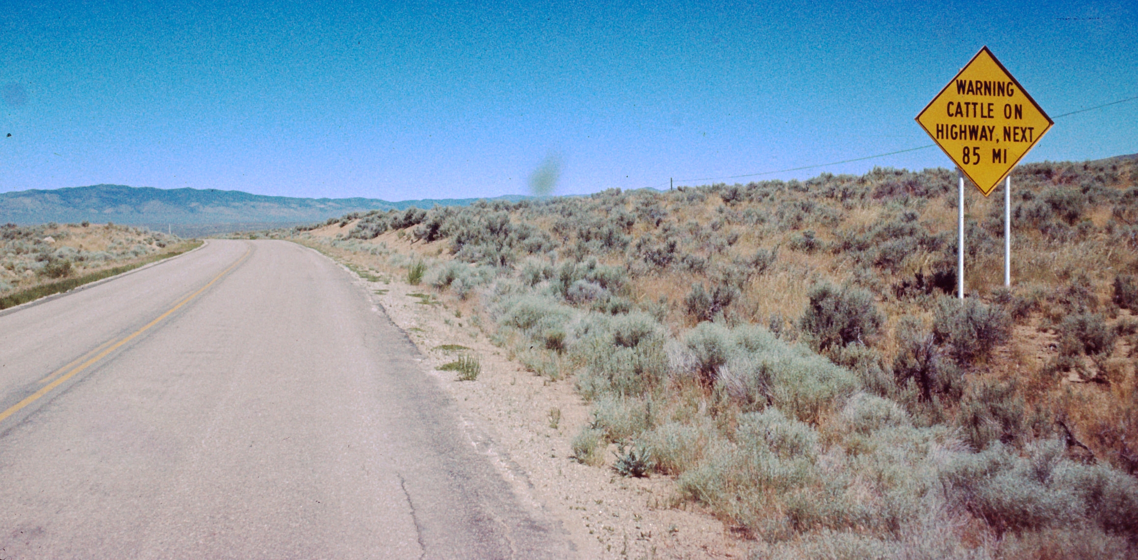 Rt 8A(305) June 1973.jpg