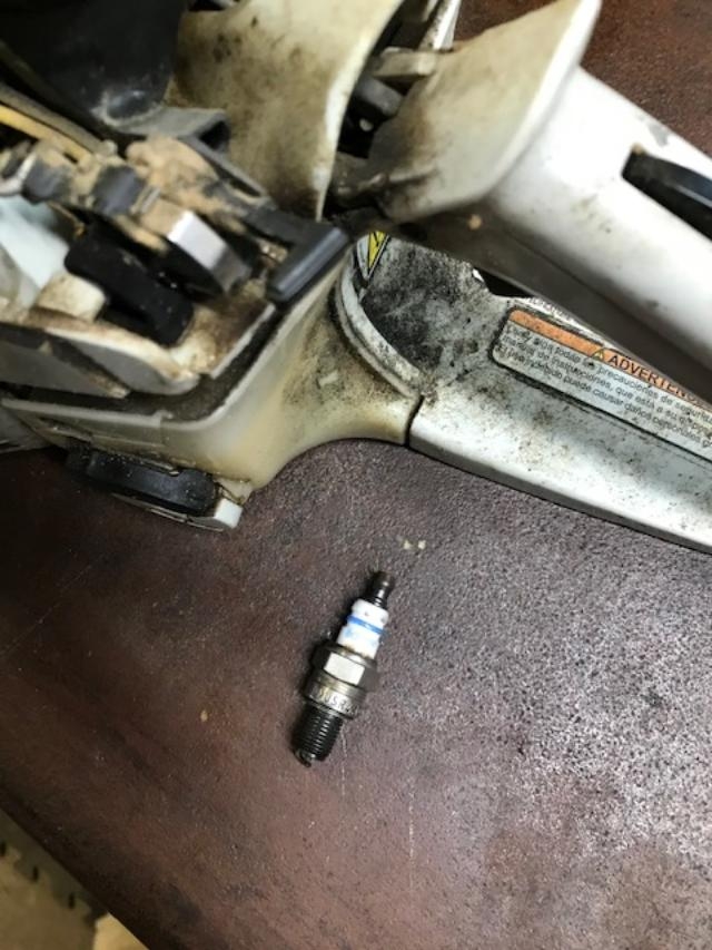 s251plug.jpg