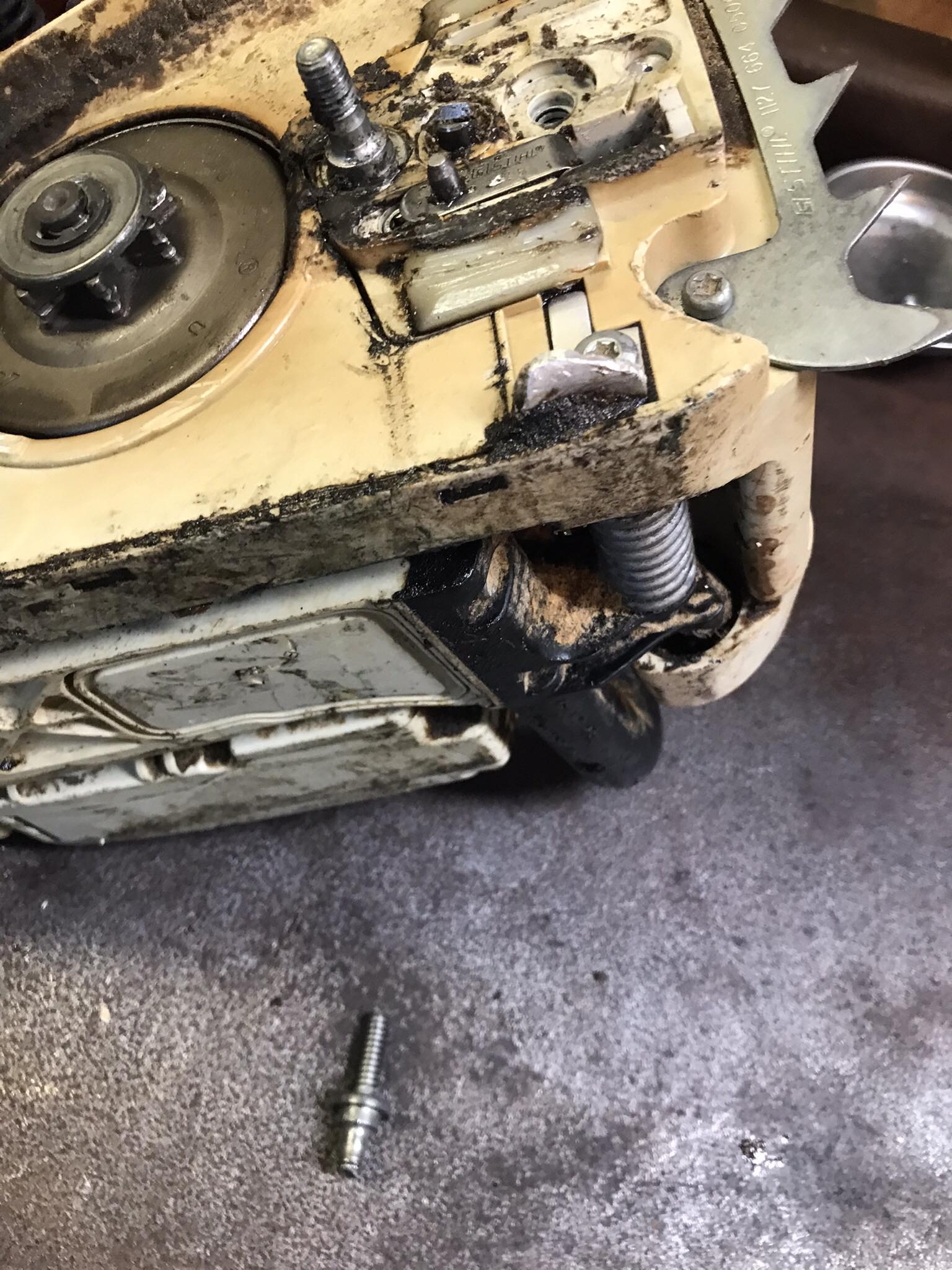 s311stud.jpg
