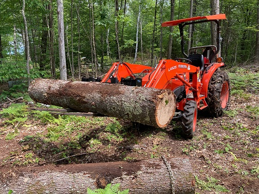 saw log 2.jpg
