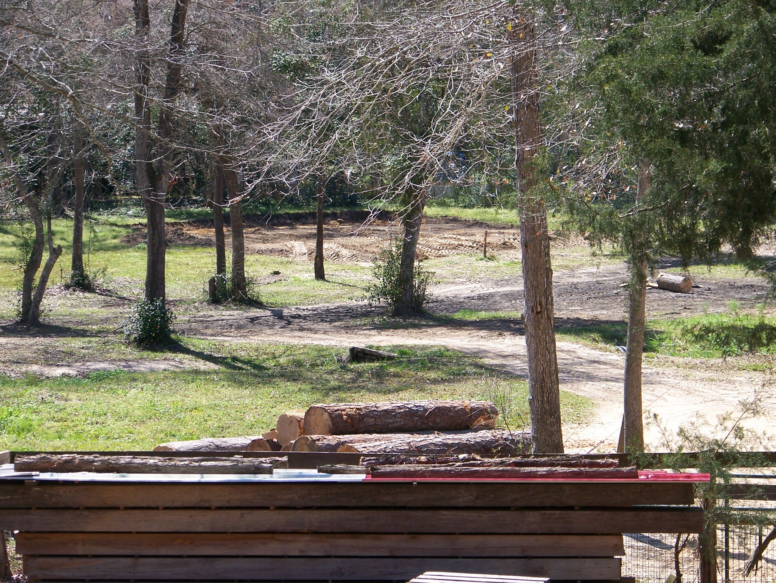Sawmill Shded Sight From Back Door.jpg