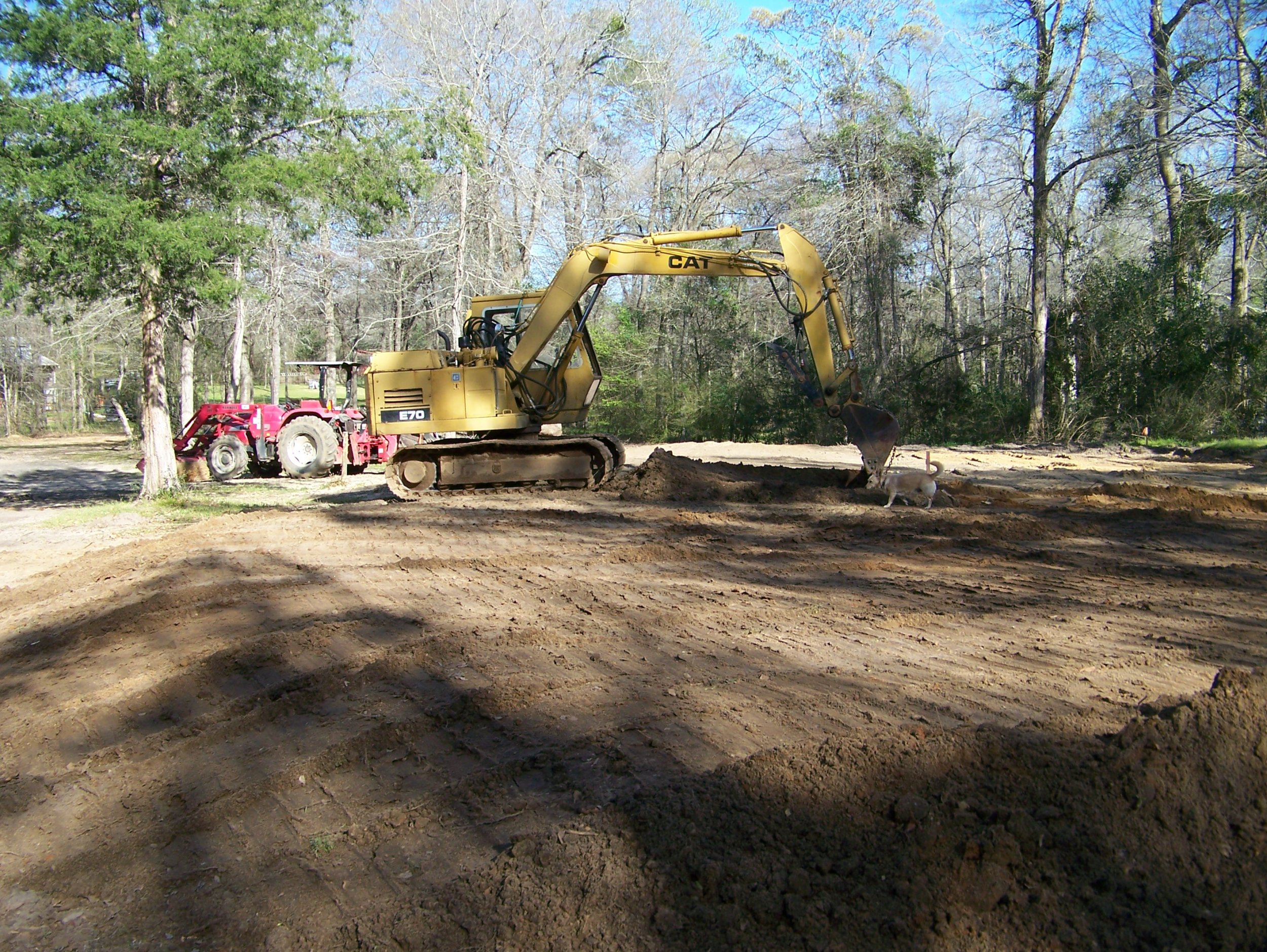 Sawmill Shed CAT Grading.jpg