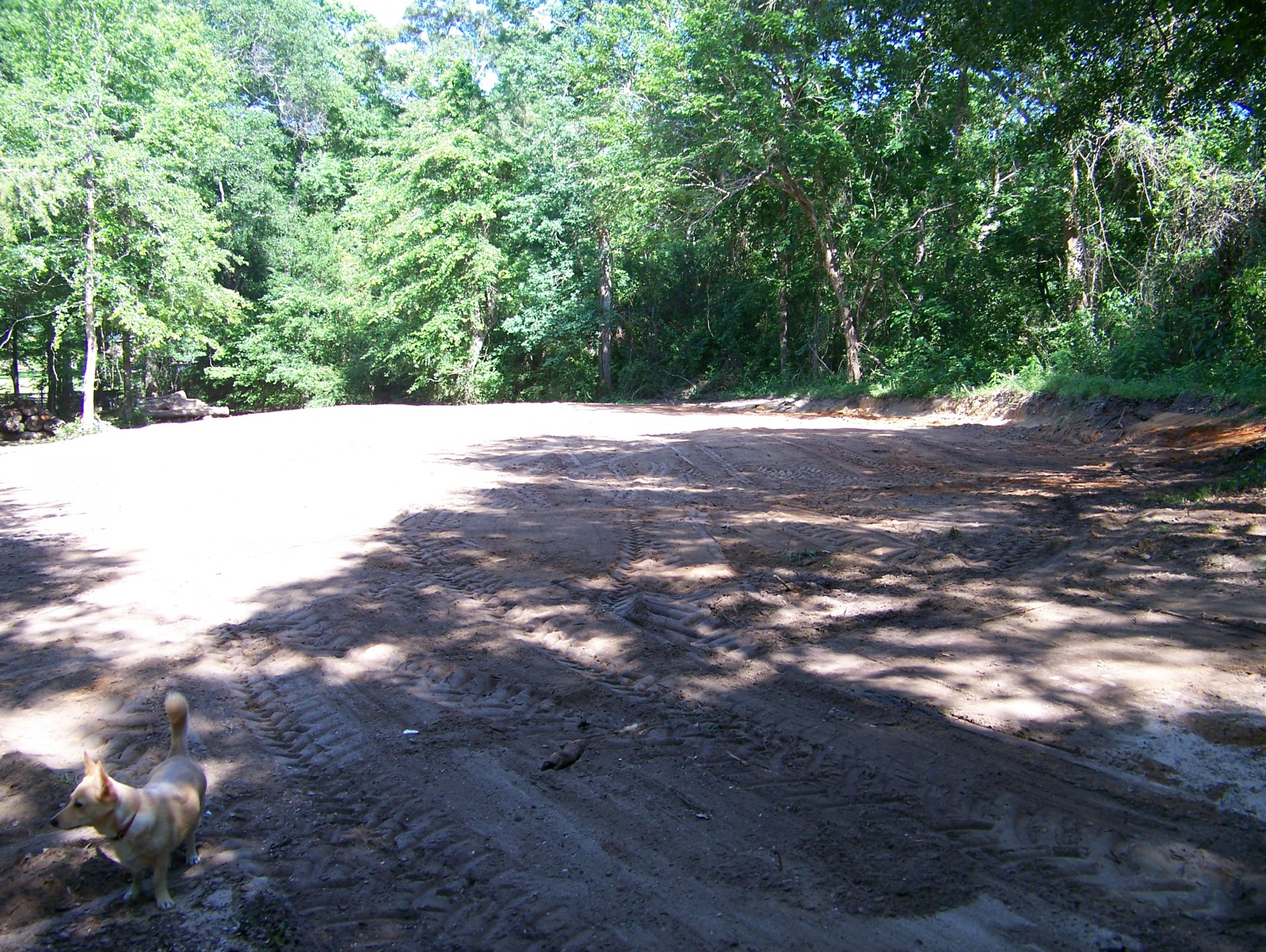 Sawmill Shed Pad Looking East 4-12-22.jpg