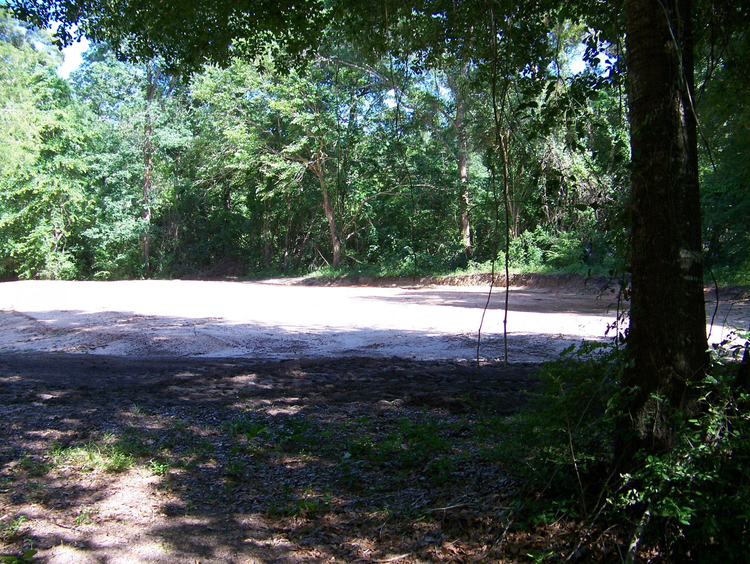 Sawmill Shed Pad West End 5-28-22.jpg