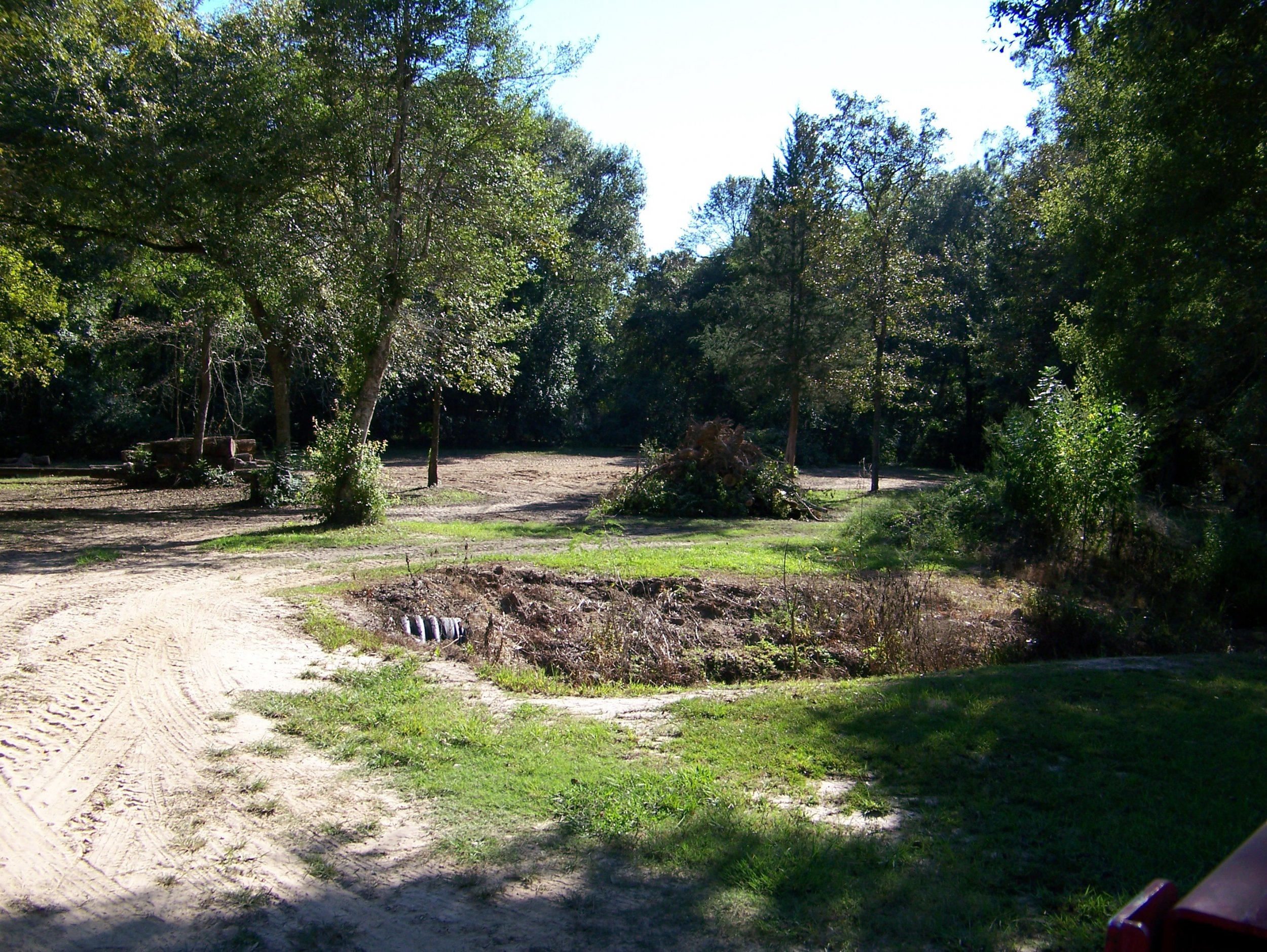 Sawmill Shed Trees Cleared.jpg