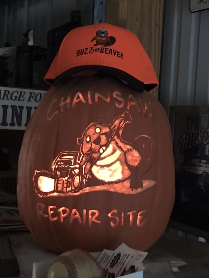sbeaver.jpg