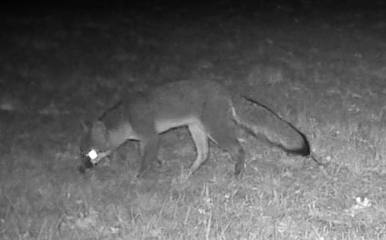 Screenshot 2022-10-19 16.12.39.png