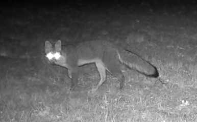 Screenshot 2022-10-19 16.12.56.png