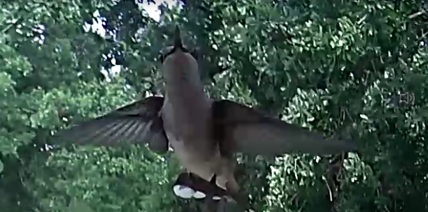 Screenshot 2023-05-09 20.06.19.png