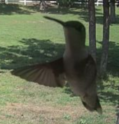 Screenshot 2023-05-09 20.56.52.png