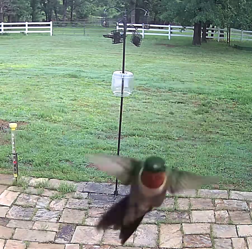 Screenshot 2023-05-21 09.39.34.png