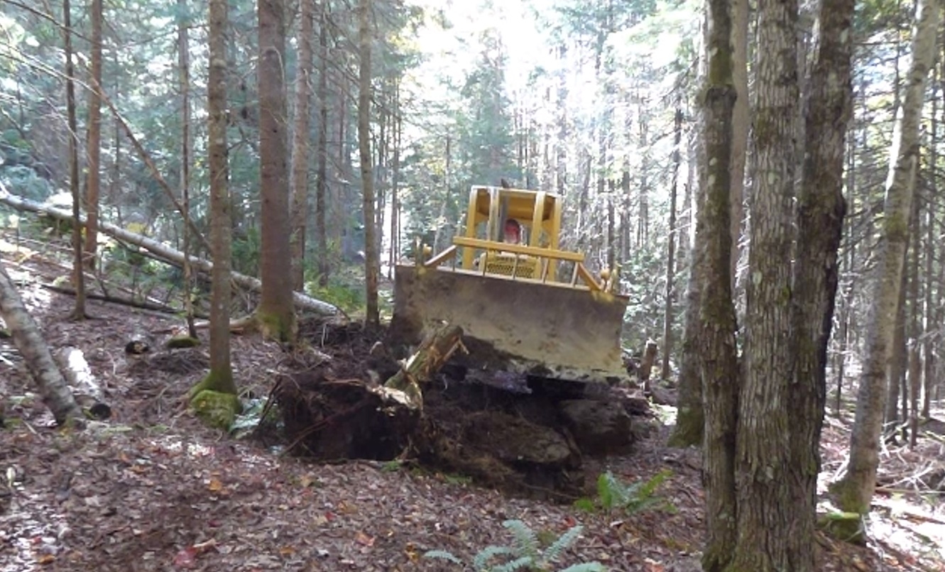 Screenshot 2023-10-03 104153.jpg