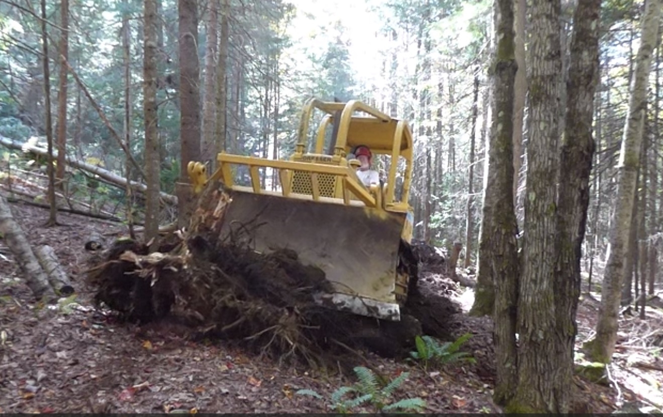 Screenshot 2023-10-03 104852.jpg