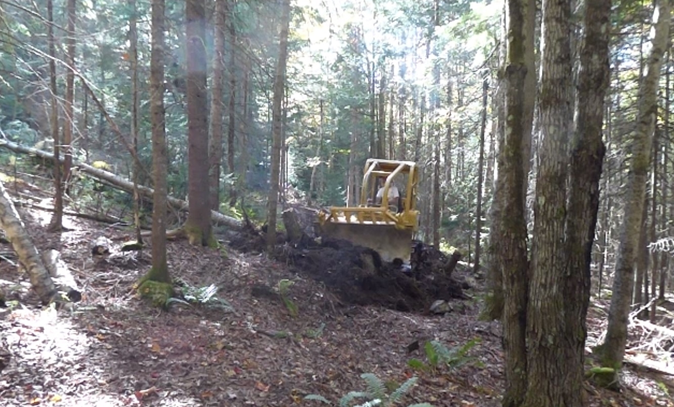 Screenshot 2023-10-03 105338.jpg