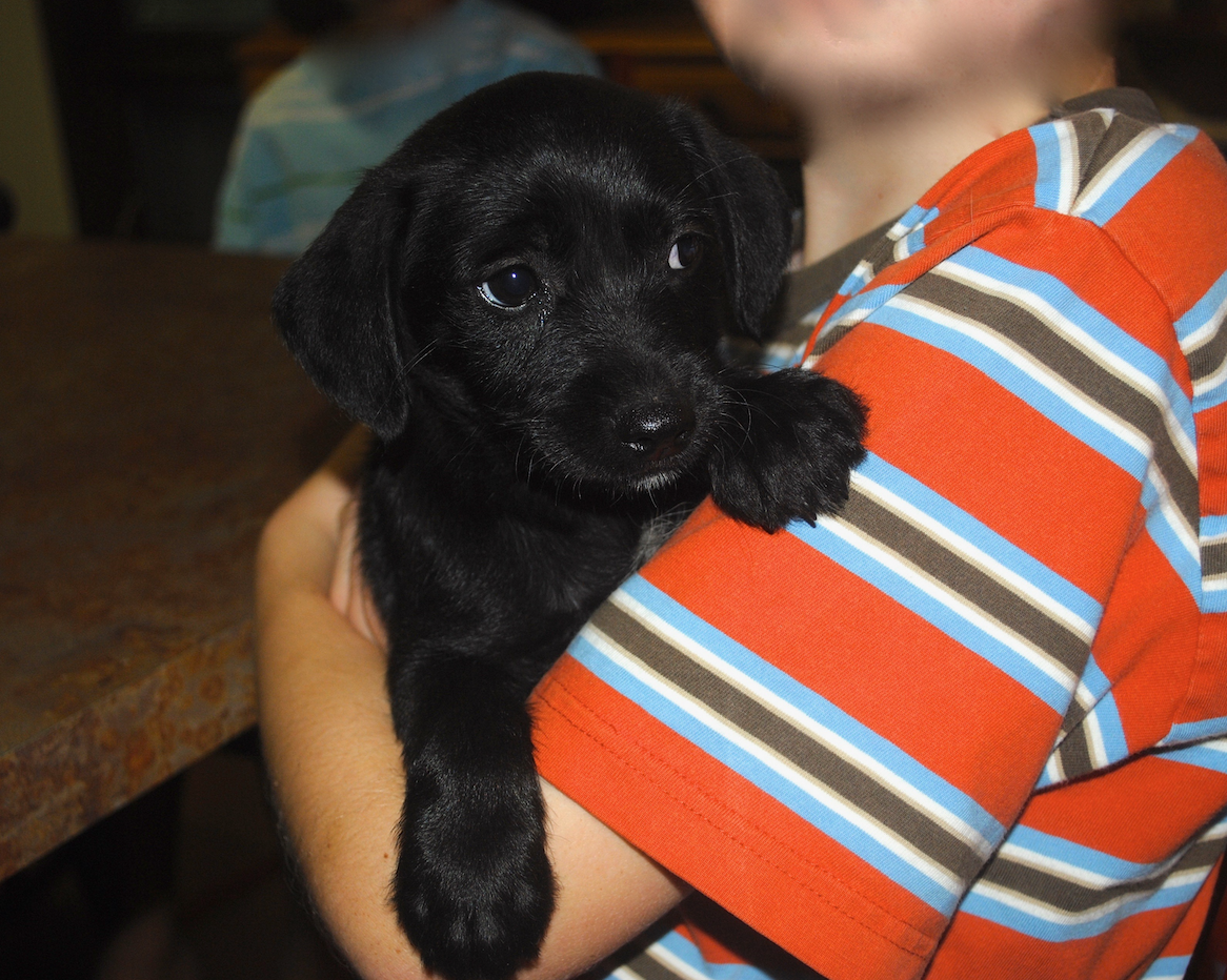 Screenshot 2024-08-17 at 6.51.26 AM.png