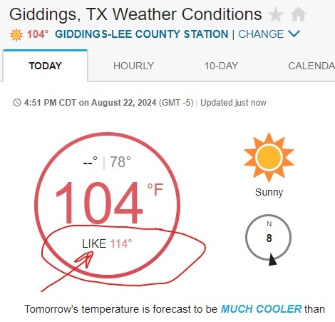 Screenshot 2024-08-22 170234.jpg