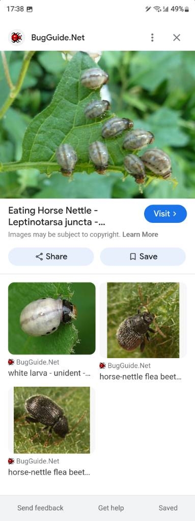 Screenshot_20240716_173816_Google.jpg