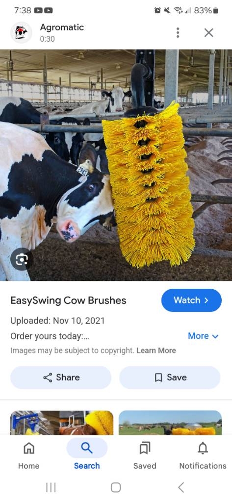 Screenshot_20241214_073819_Google.jpg