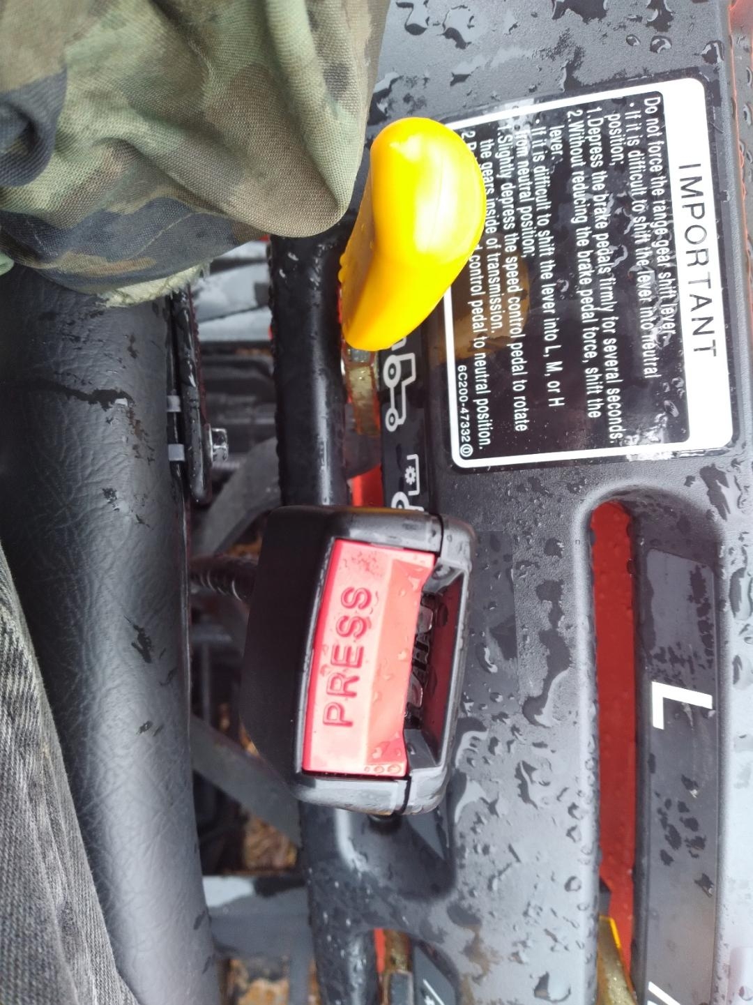 seatbelt.jpg