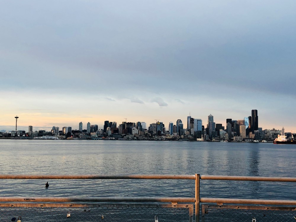 Seattle from Alki June 2019 Paint 3d.jpg