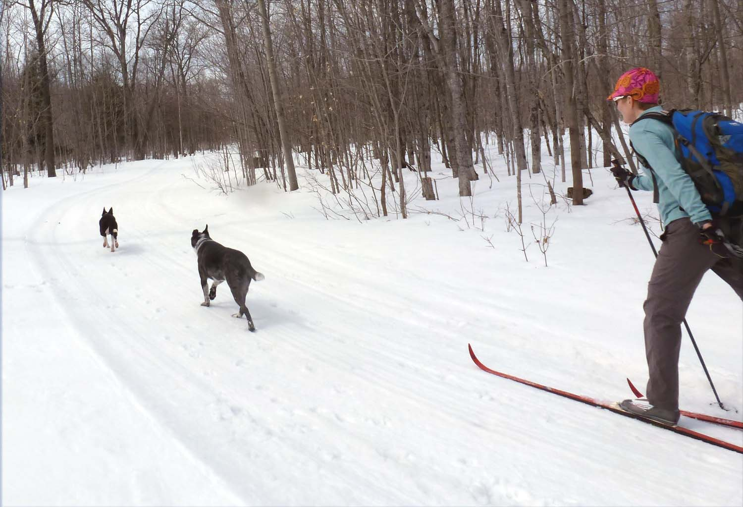 ski2022585.jpg