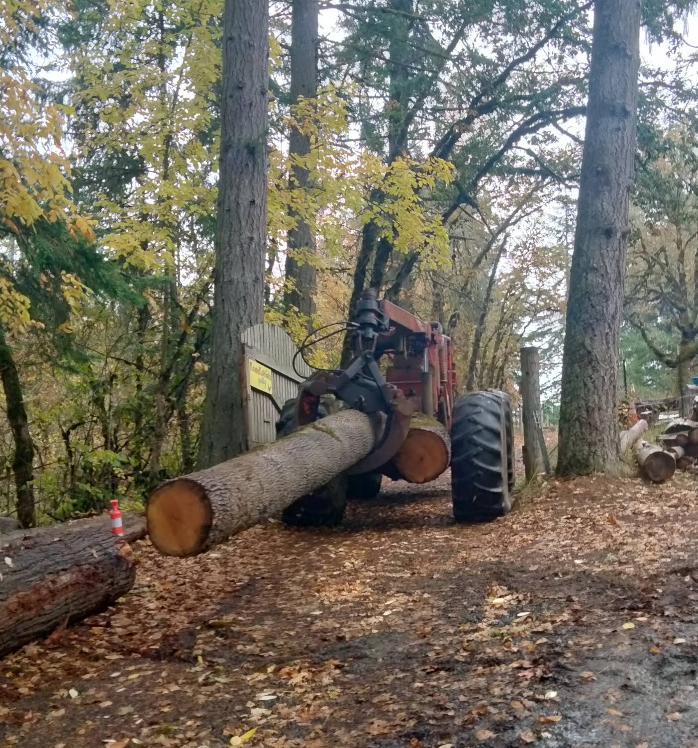 Skidder.jpg