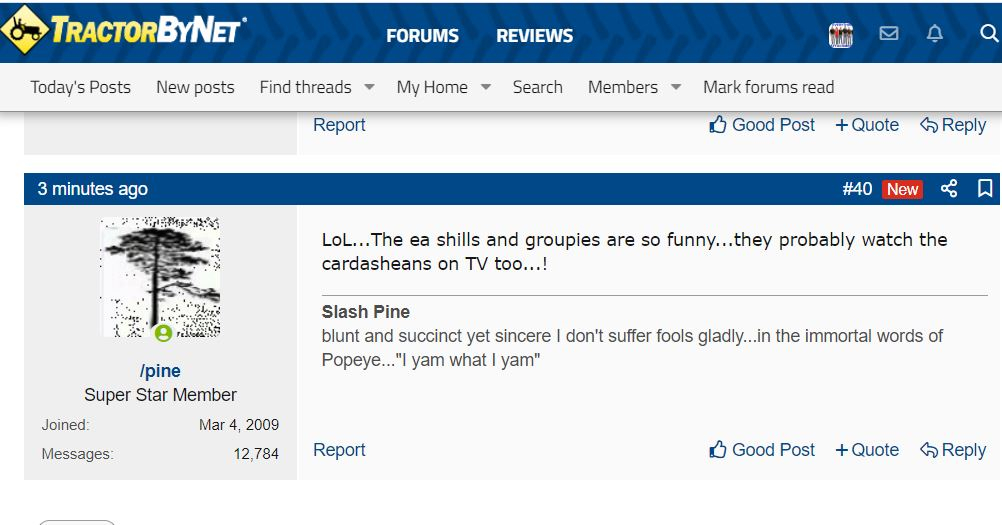 slashpine2.jpg