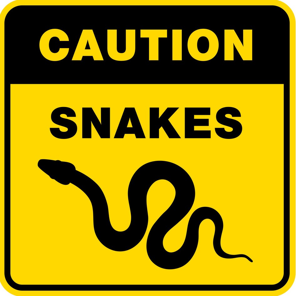 Snakes.jpg