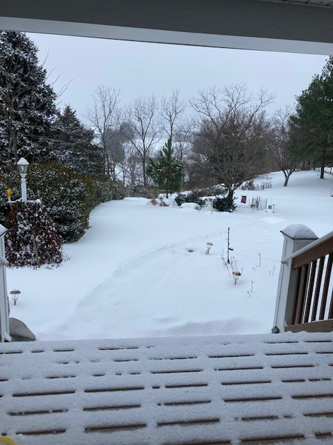 Snow 1-16-22.jpg