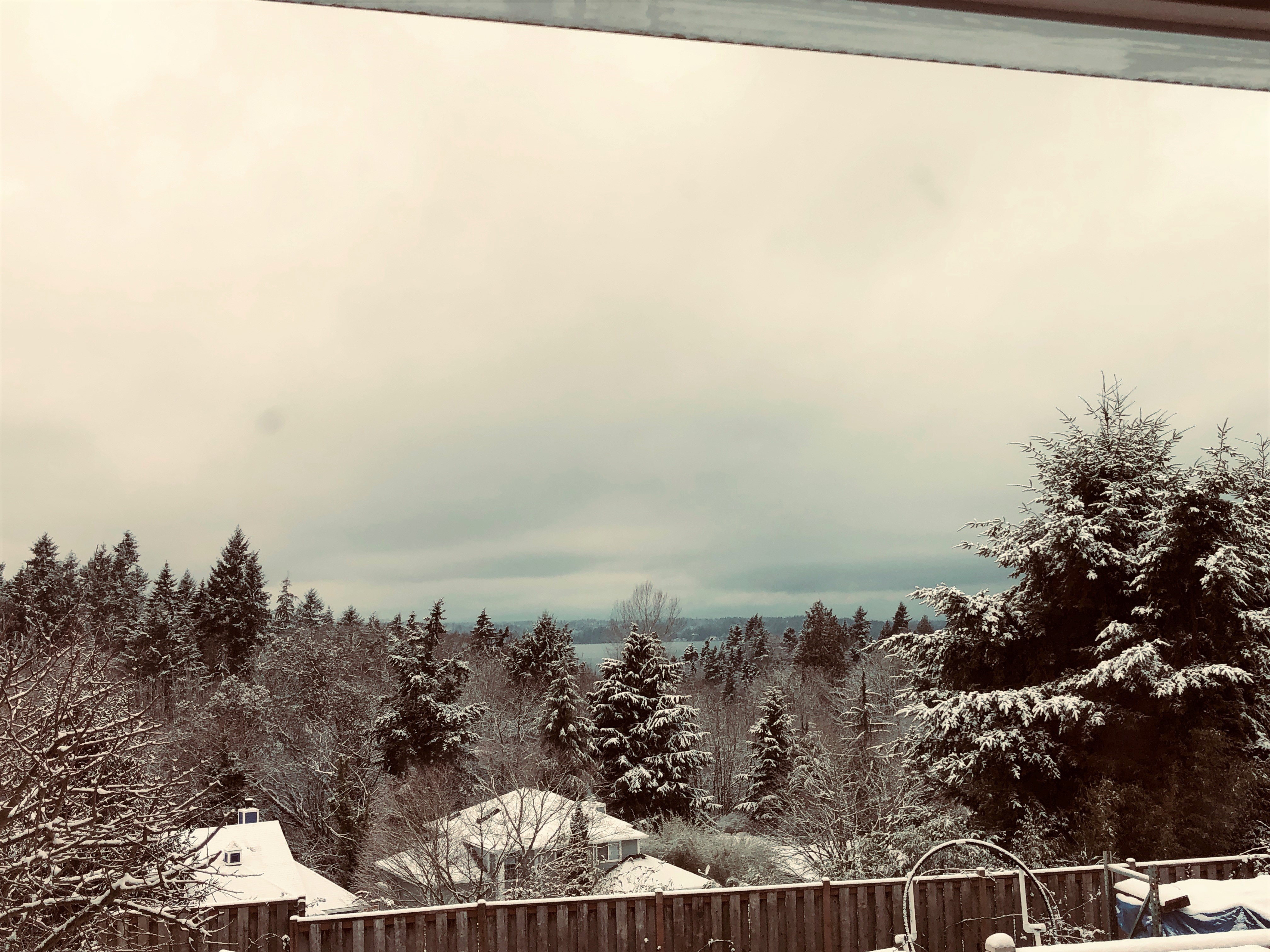 snow day Jan 15 2020 (2).jpg