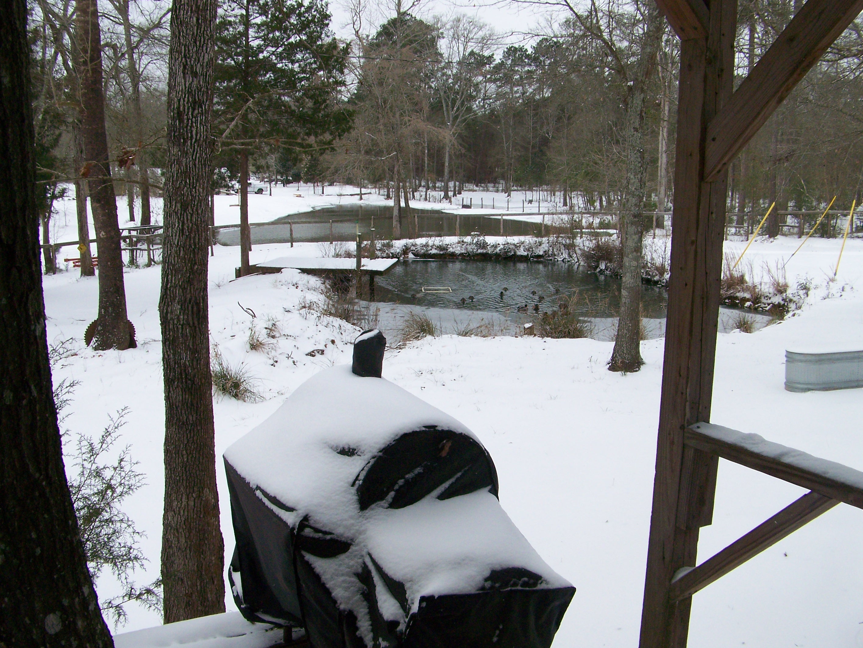 Snow Feb 2021 Ponds Ducks.jpg