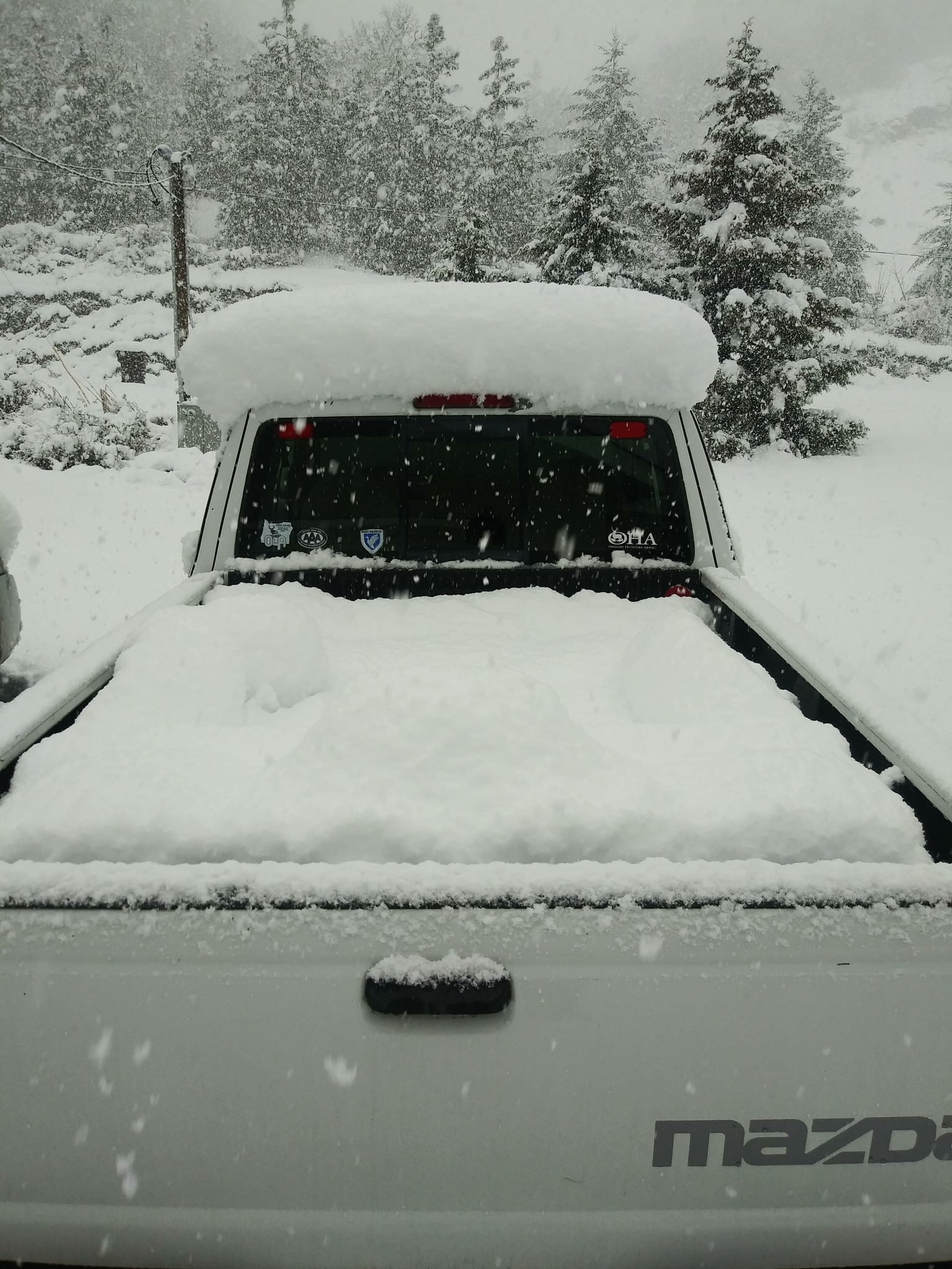 snow.jpg