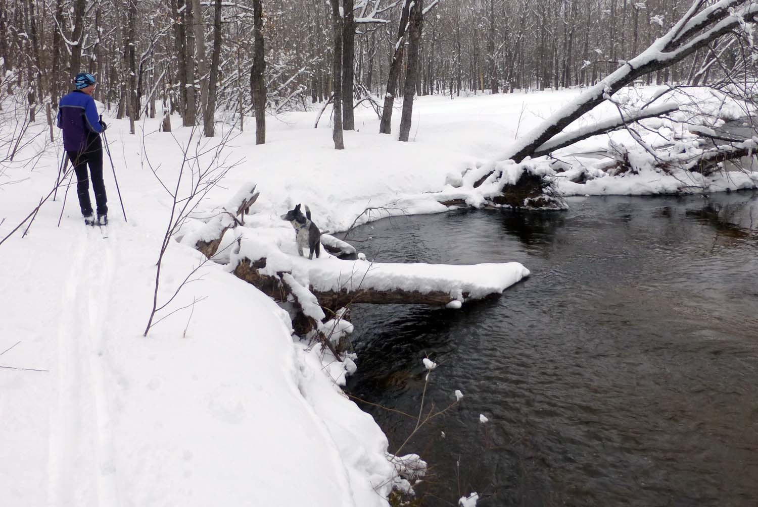 snow0754.jpg