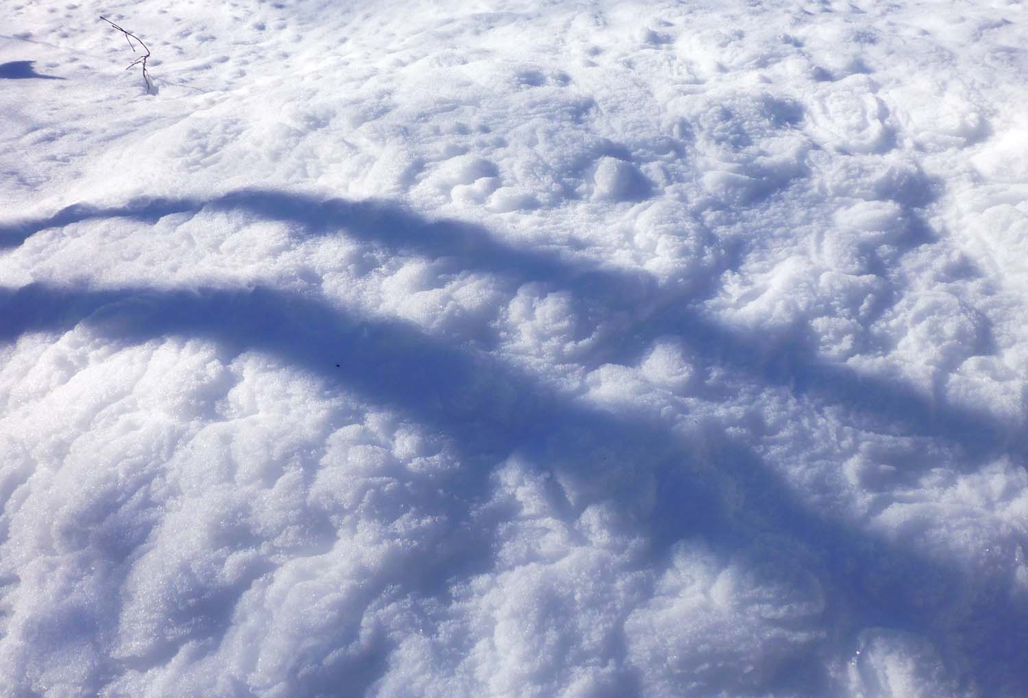 snow0874.jpg