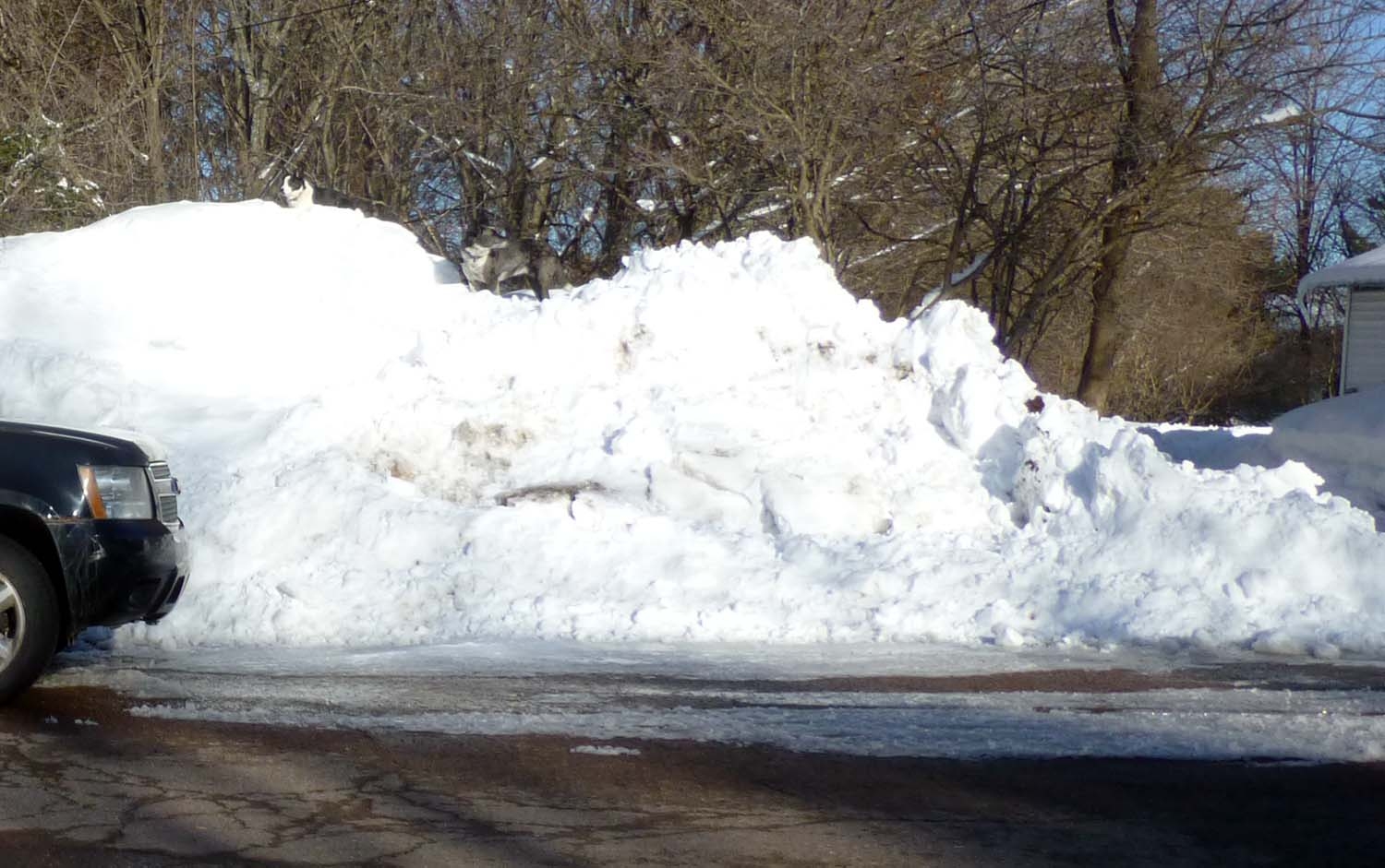 snow40108.jpg