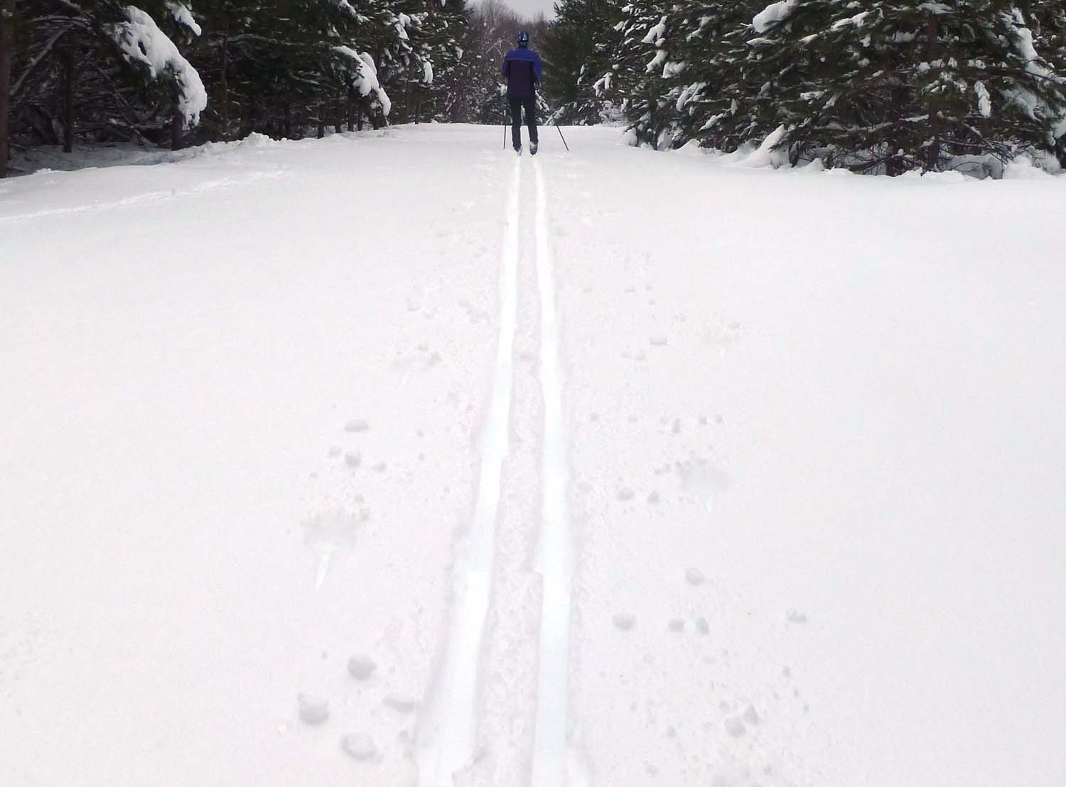 snow45.jpg