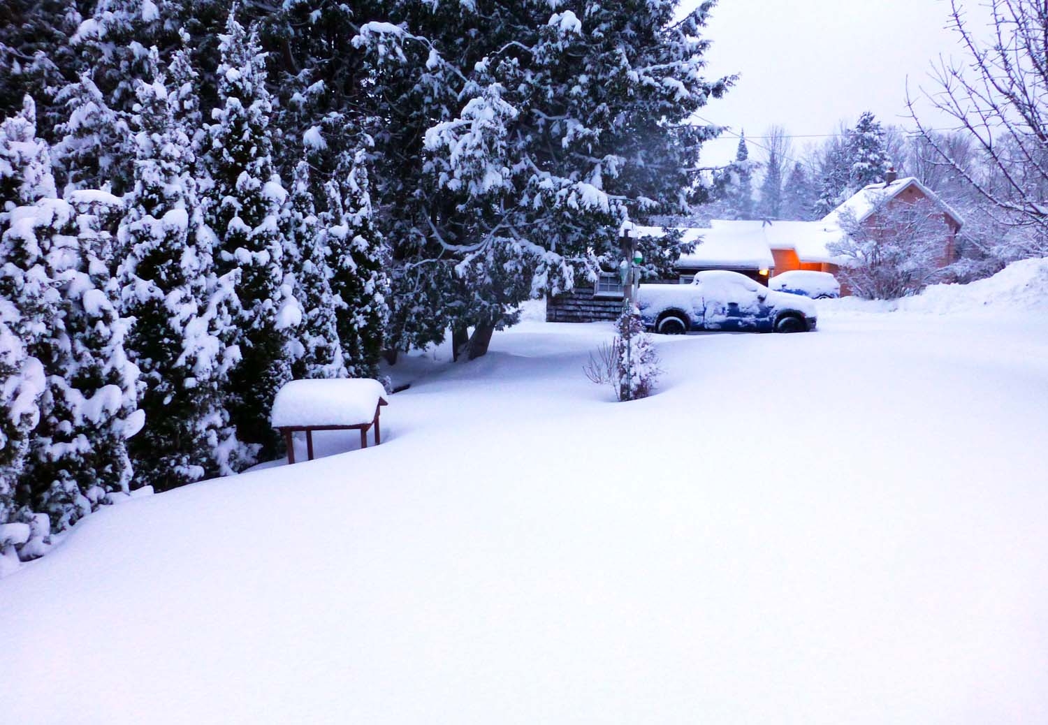 snow727.jpg