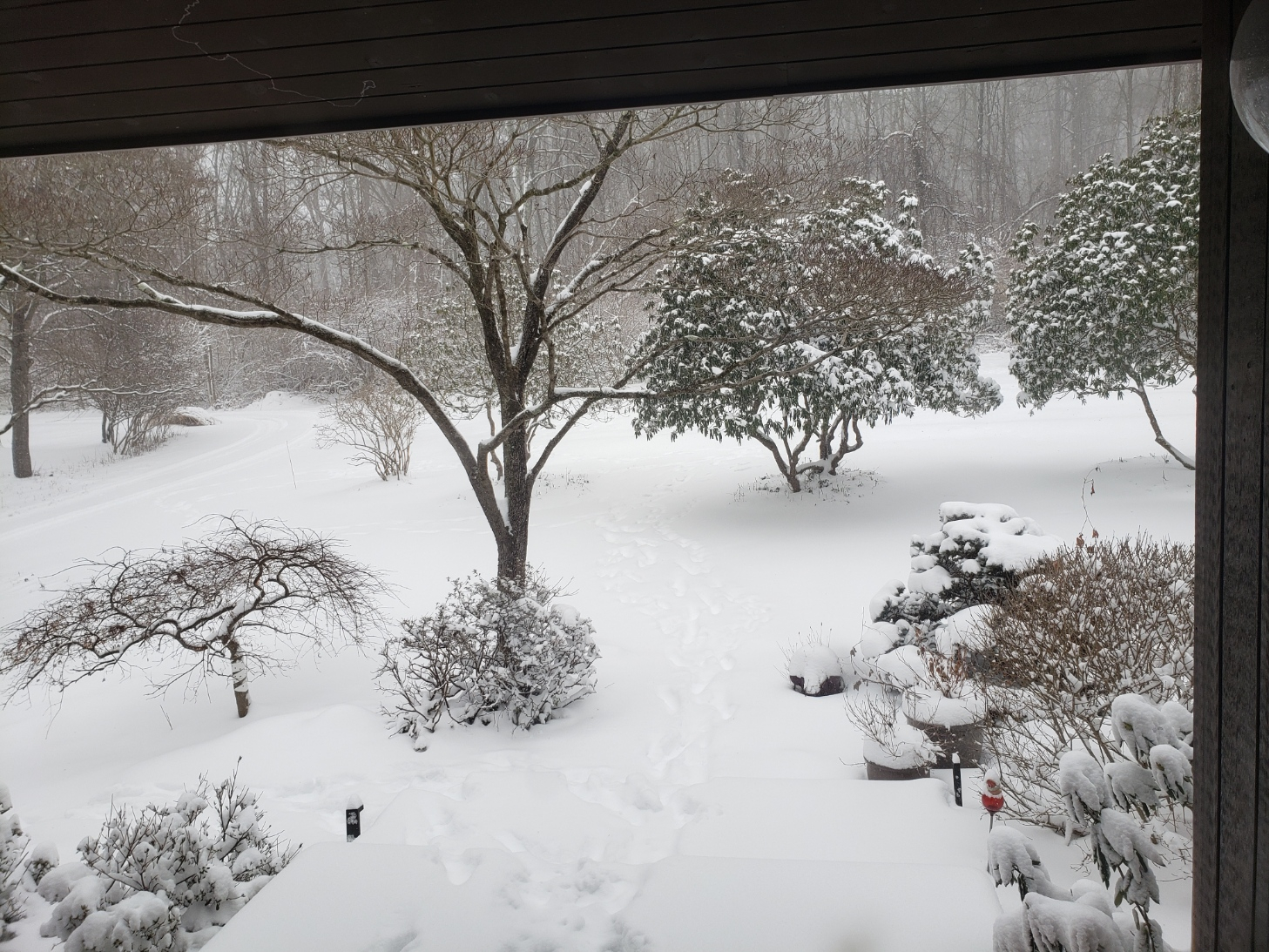 SnowJan2220220129_111034.jpg