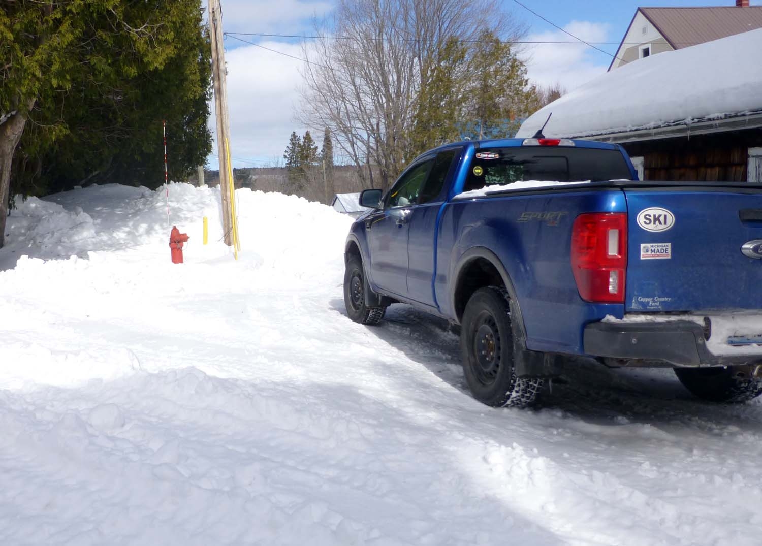 snowranger30495.jpg