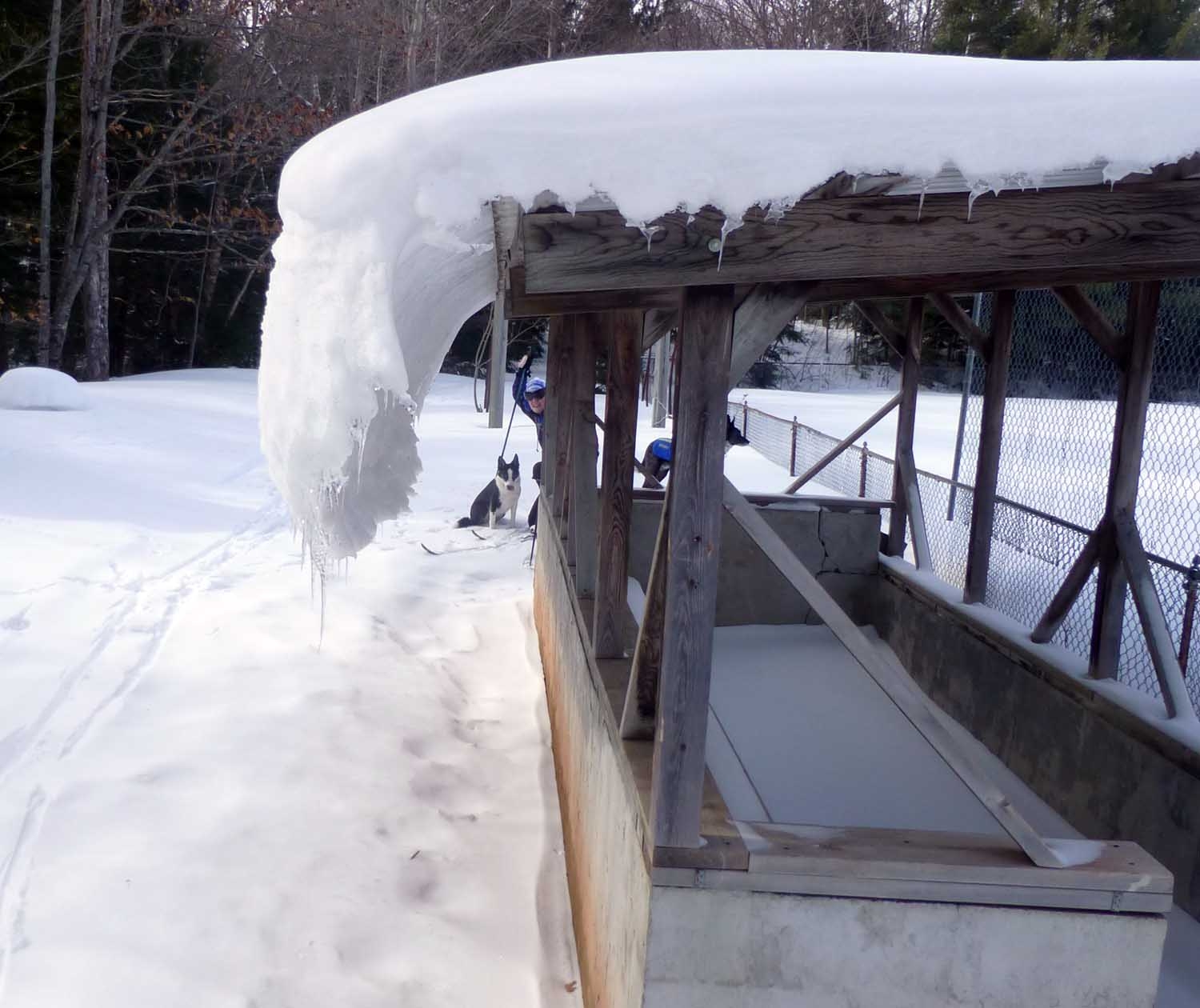 snowroof315.jpg