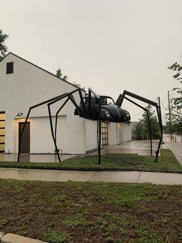 spider.jpg