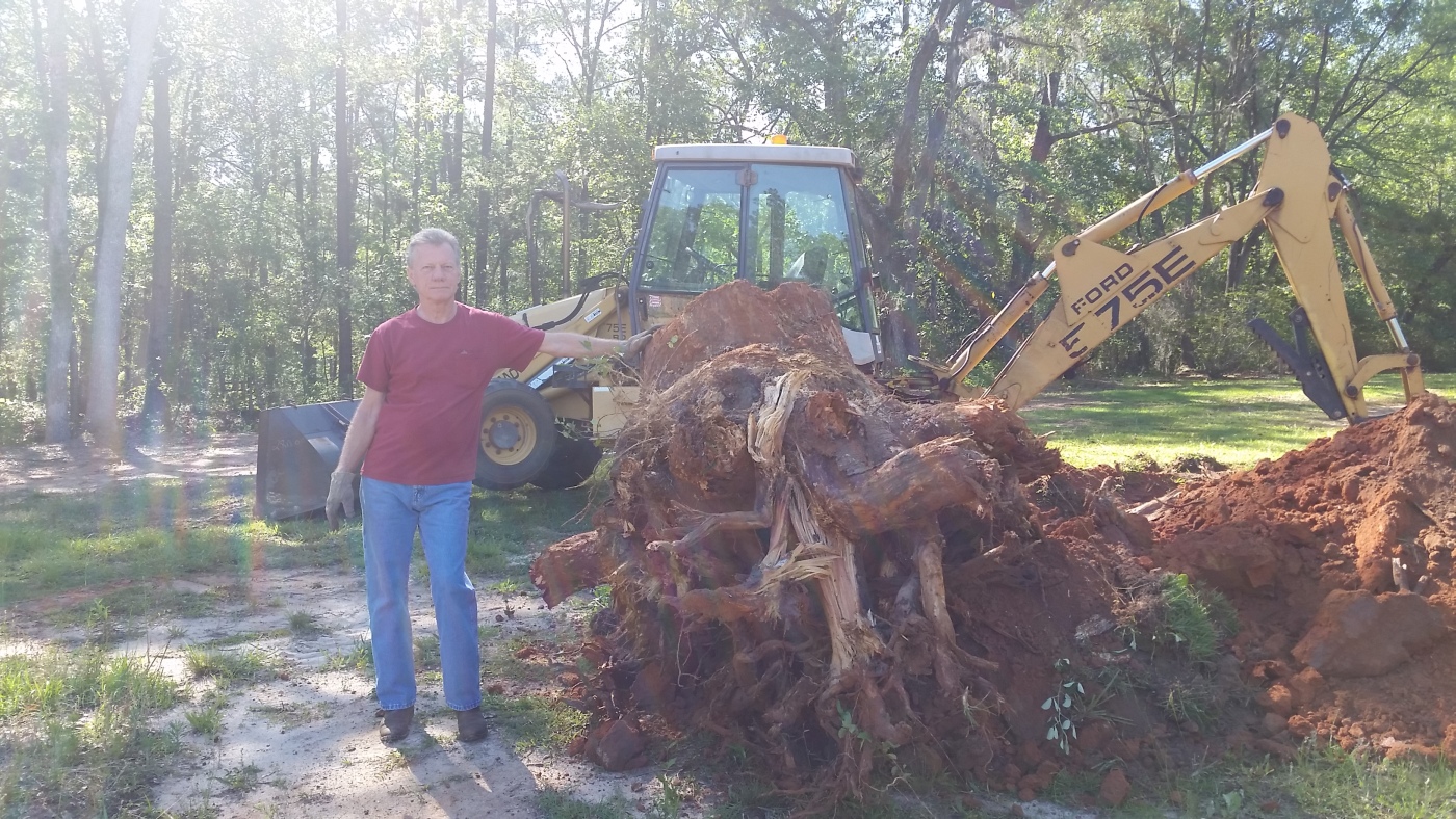 spruce-stump-001.jpg