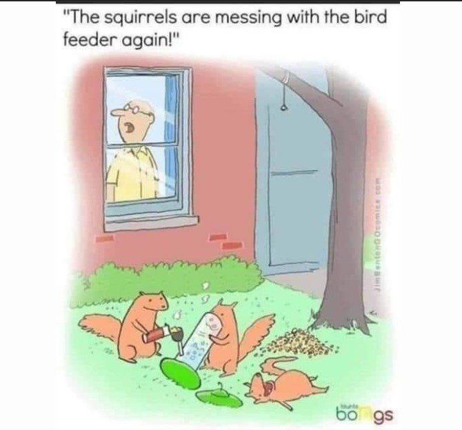 squirreljoke.jpg