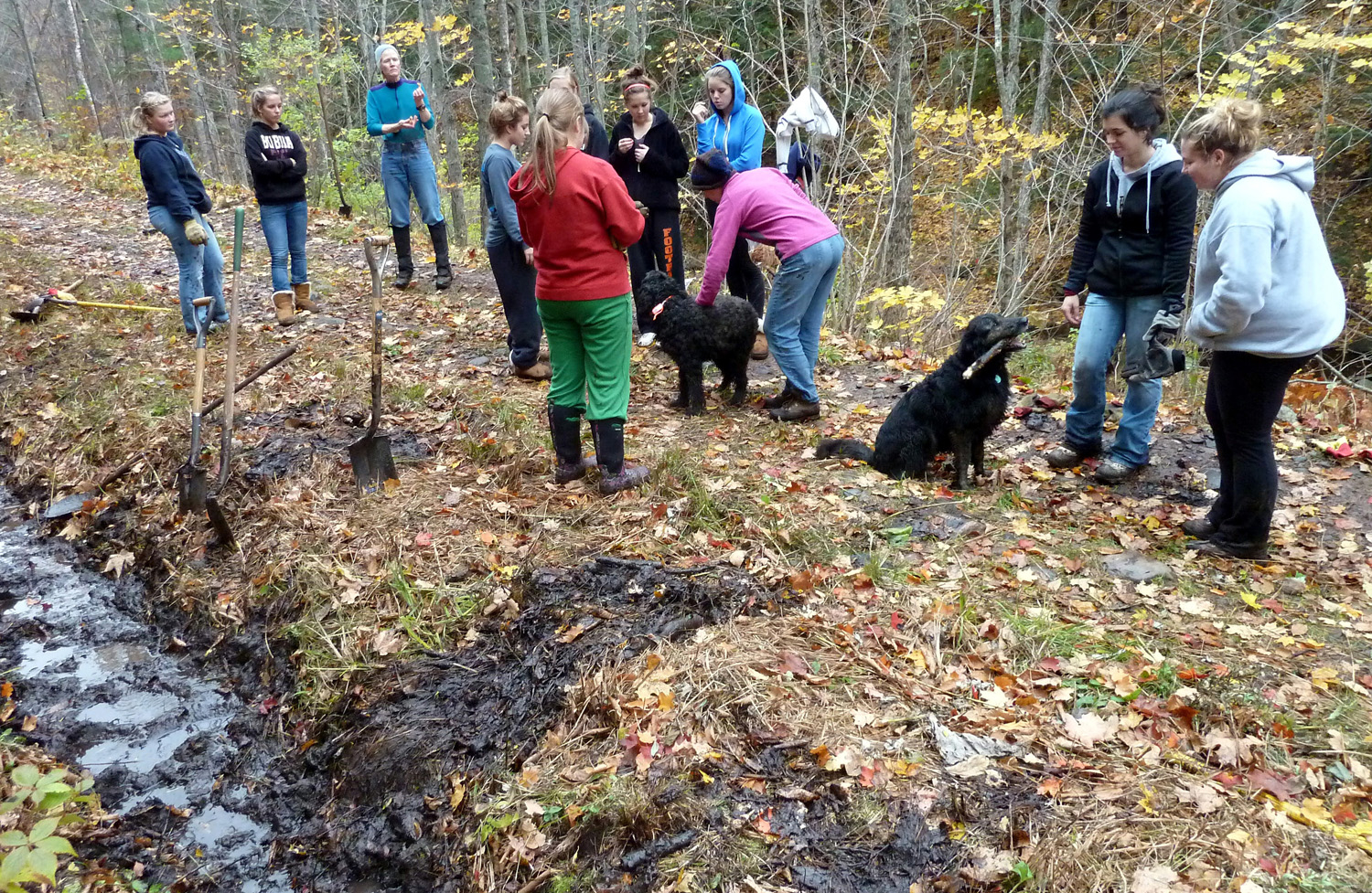 ST creek trail trenching crew a.jpg