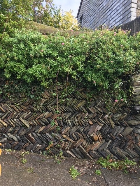 St Ives UK Walls 1.jpg