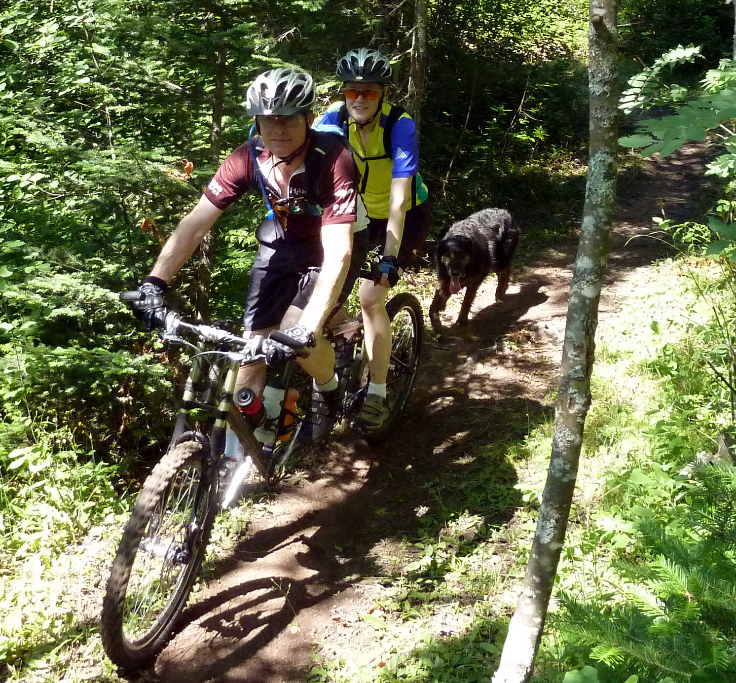ST ride A,S & Gromit.jpg