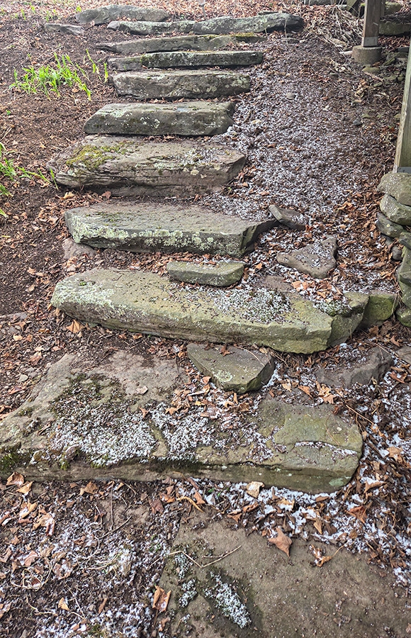 steps.jpg