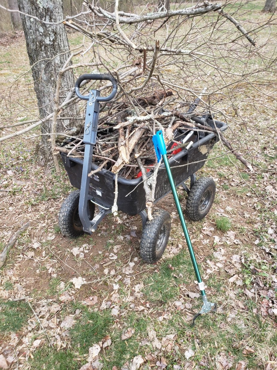 Sticks20220328_174414.jpg