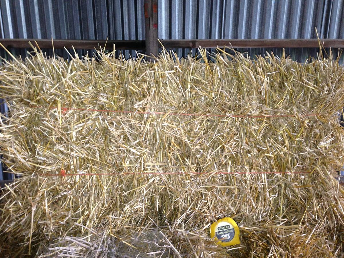 straw measure.jpg